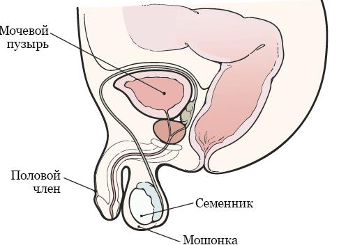 Как получить красивый и аккуратный шов, ровную строчку